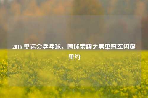 2016 奥运会乒乓球，国球荣耀之男单冠军闪耀里约