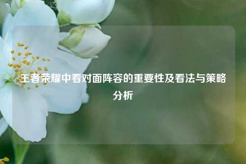 王者荣耀中看对面阵容的重要性及看法与策略分析