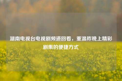 湖南电视台电视剧频道回看，重温昨晚上精彩剧集的便捷方式