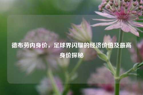 德布劳内身价，足球界闪耀的经济价值及最高身价探秘
