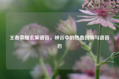 王者荣耀玄策语音，峡谷中的热血回响与语音包