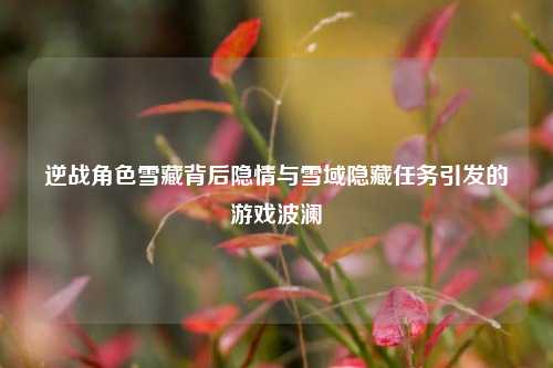 逆战角色雪藏背后隐情与雪域隐藏任务引发的游戏波澜