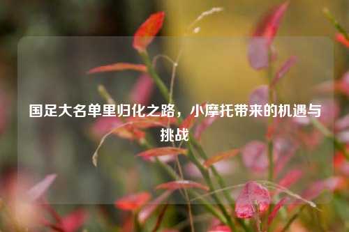 国足大名单里归化之路，小摩托带来的机遇与挑战