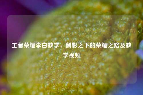 王者荣耀李白教学，剑影之下的荣耀之路及教学视频