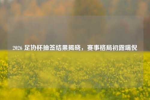 2026 足协杯抽签结果揭晓，赛事格局初露端倪