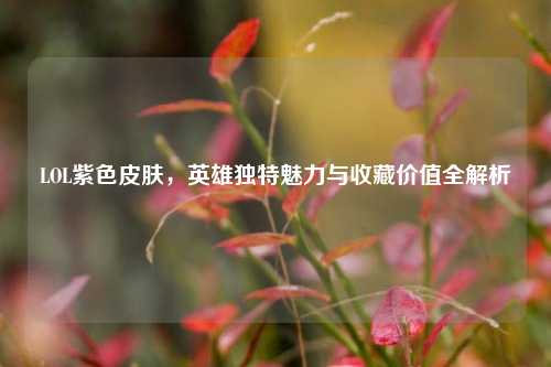 LOL紫色皮肤，英雄独特魅力与收藏价值全解析