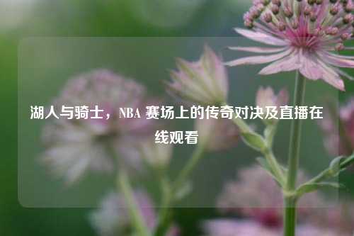 湖人与骑士，NBA 赛场上的传奇对决及直播在线观看