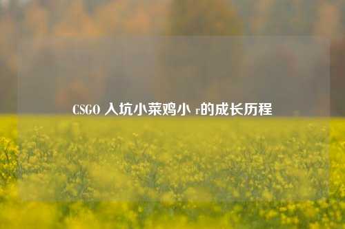 CSGO 入坑小菜鸡小 r的成长历程