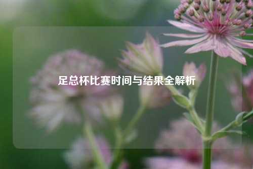 足总杯比赛时间与结果全解析