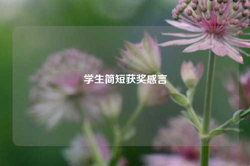 学生简短获奖感言
