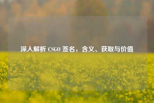 深入解析 CSGO 签名，含义、获取与价值