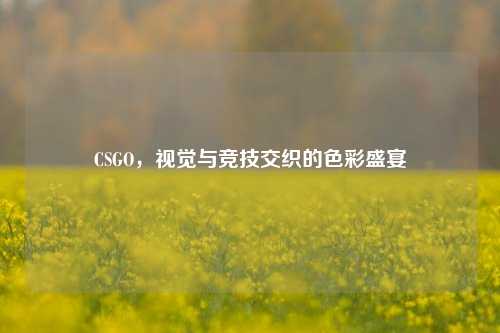CSGO，视觉与竞技交织的色彩盛宴