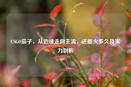 CSGO茄子，从边缘走向主流，还能火多久及实力剖析