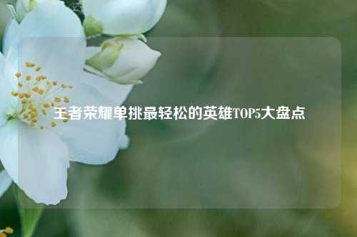 王者荣耀单挑最轻松的英雄TOP5大盘点