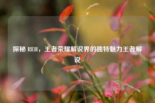 探秘 REH，王者荣耀解说界的独特魅力王者解说