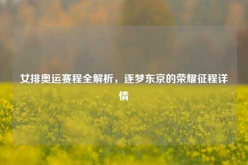 女排奥运赛程全解析，逐梦东京的荣耀征程详情