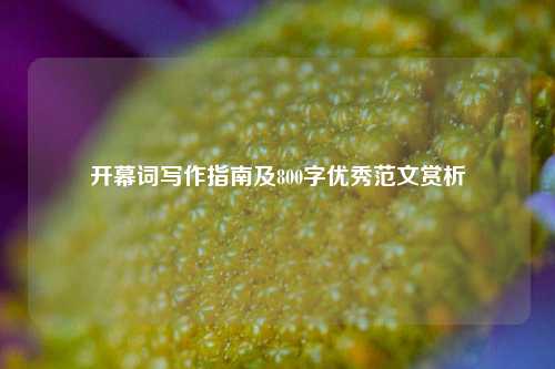 开幕词写作指南及800字优秀范文赏析