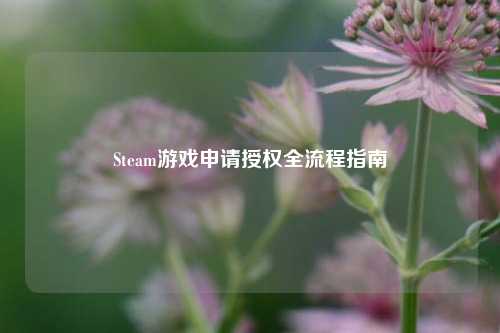 Steam游戏申请授权全流程指南