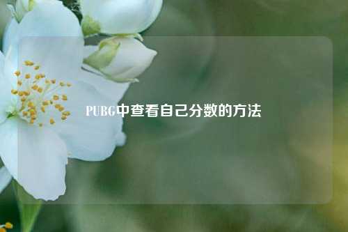 PUBG中查看自己分数的方法