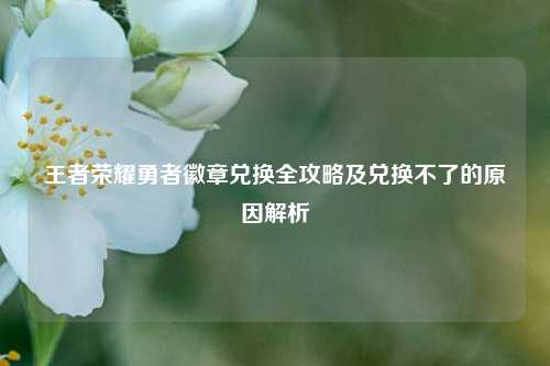 王者荣耀勇者徽章兑换全攻略及兑换不了的原因解析