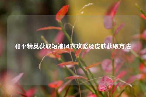 和平精英获取短袖风衣攻略及皮肤获取方法