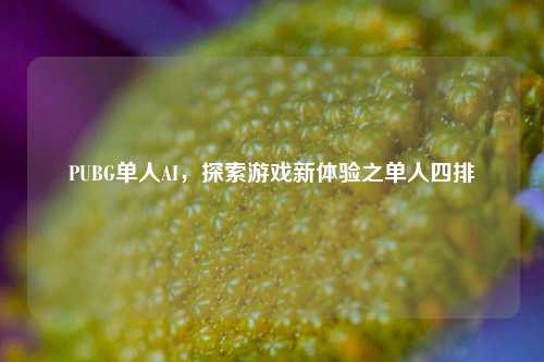 PUBG单人AI，探索游戏新体验之单人四排