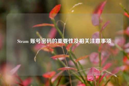 Steam 账号密码的重要性及相关注意事项