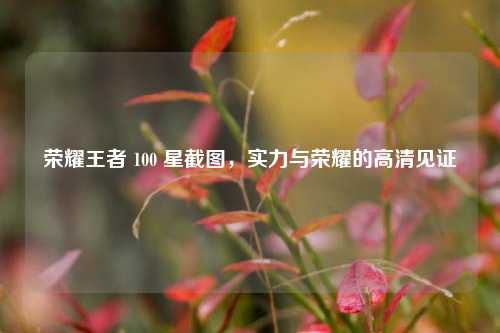 荣耀王者 100 星截图，实力与荣耀的高清见证