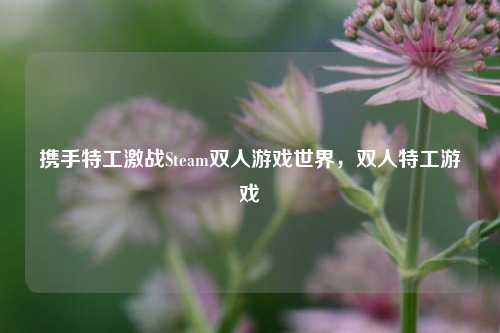 携手特工激战Steam双人游戏世界，双人特工游戏