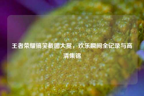 王者荣耀搞笑截图大赏，欢乐瞬间全记录与高清集锦