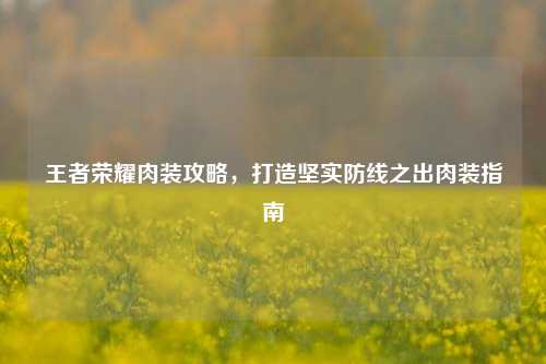 王者荣耀肉装攻略，打造坚实防线之出肉装指南