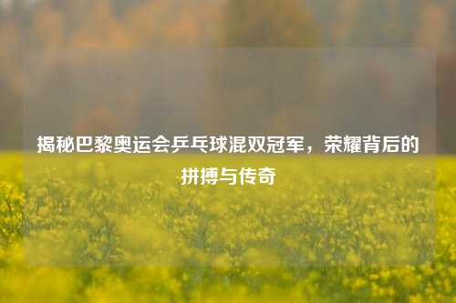 揭秘巴黎奥运会乒乓球混双冠军，荣耀背后的拼搏与传奇