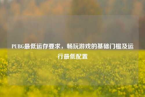 PUBG最低运存要求，畅玩游戏的基础门槛及运行最低配置