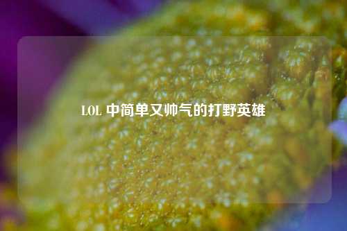 LOL 中简单又帅气的打野英雄