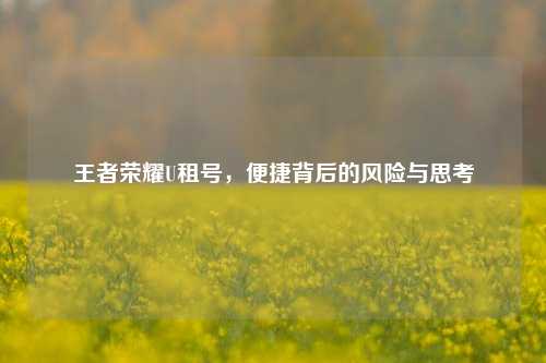 王者荣耀U租号，便捷背后的风险与思考
