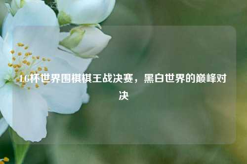 LG杯世界围棋棋王战决赛，黑白世界的巅峰对决