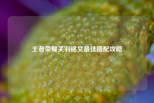 王者荣耀关羽铭文最佳搭配攻略