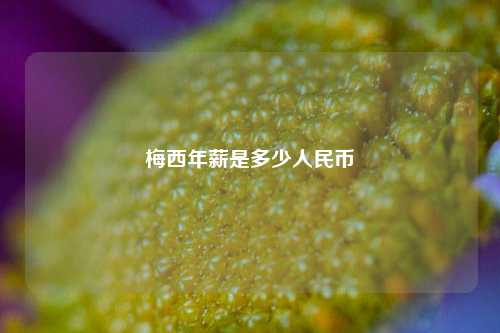 梅西年薪是多少人民币