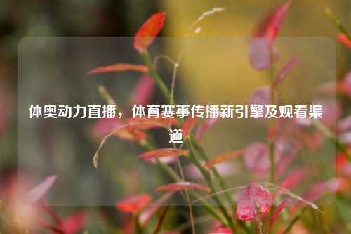 体奥动力直播，体育赛事传播新引擎及观看渠道
