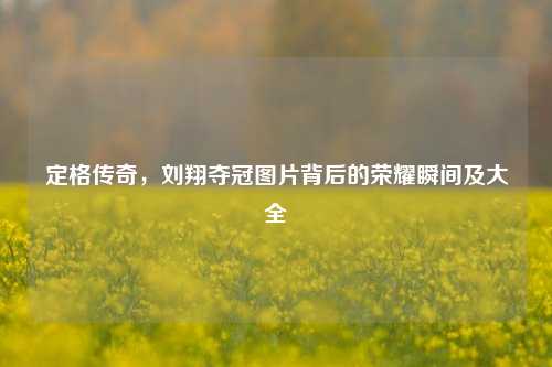 定格传奇，刘翔夺冠图片背后的荣耀瞬间及大全