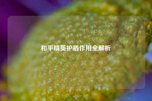 和平精英护盾作用全解析