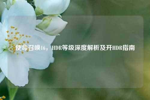 使命召唤16，HDR等级深度解析及开HDR指南