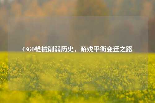 CSGO枪械削弱历史，游戏平衡变迁之路