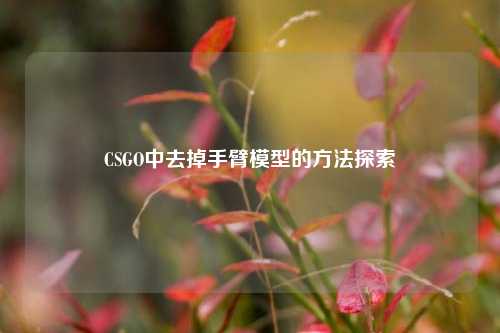 CSGO中去掉手臂模型的方法探索