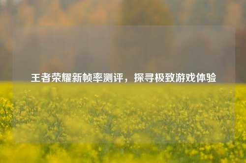 王者荣耀新帧率测评，探寻极致游戏体验