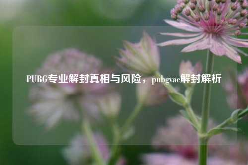 PUBG专业解封真相与风险，pubgvac解封解析