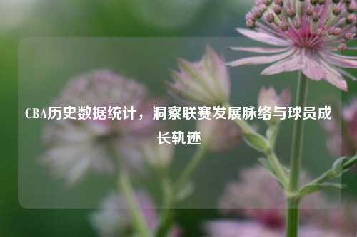 CBA历史数据统计，洞察联赛发展脉络与球员成长轨迹