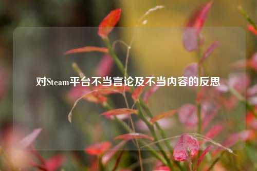 对Steam平台不当言论及不当内容的反思