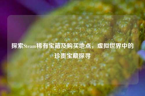 探索Steam稀有宝箱及购买地点，虚拟世界中的珍贵宝藏探寻
