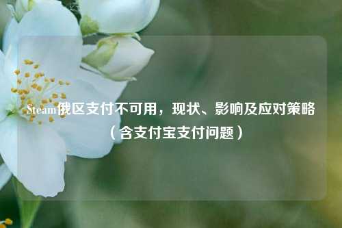 Steam俄区支付不可用，现状、影响及应对策略（含支付宝支付问题）